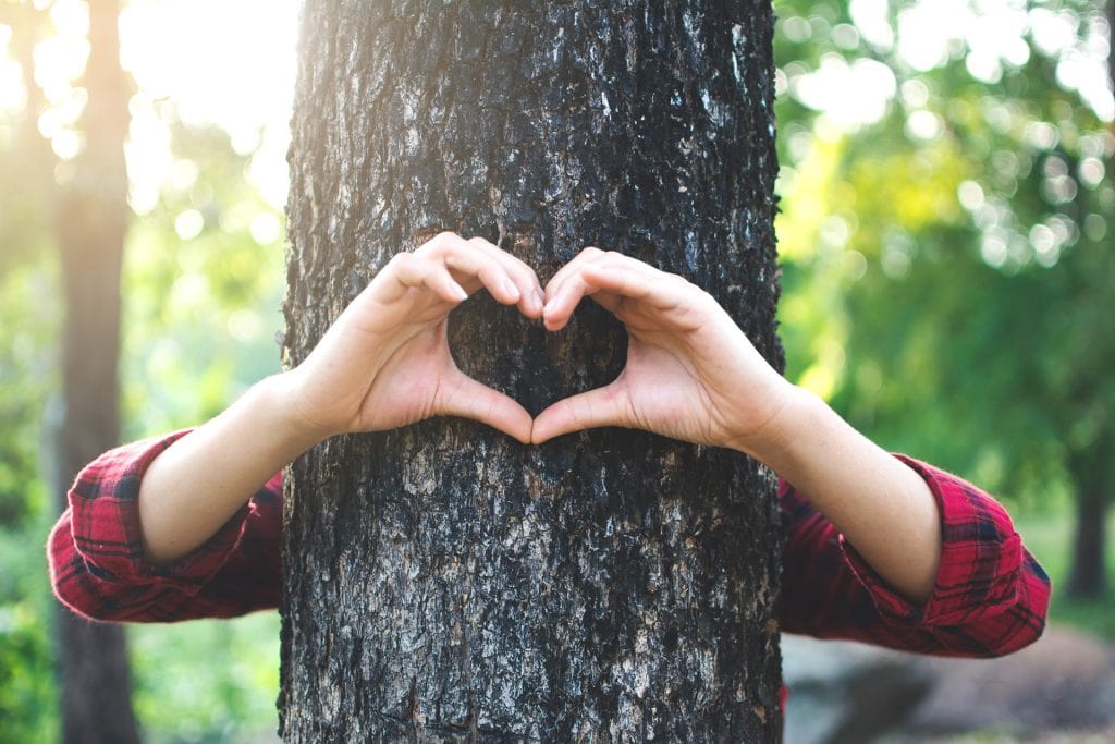 Image de deux mains formant un cœur autour d'un arbre, symbolisant l'amour et le respect pour la nature.